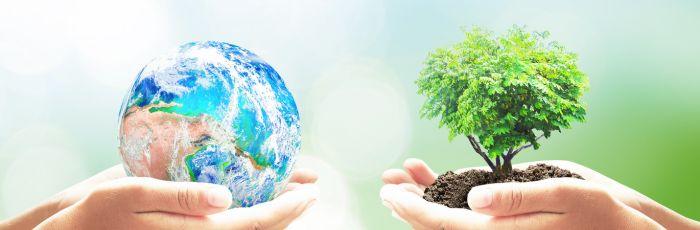 The environment and gas risks